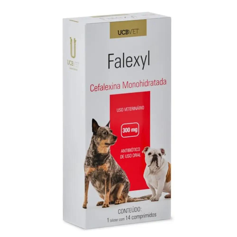 Falexyl Antibiótico 300mg 14cp